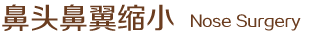鼻頭鼻翼縮小